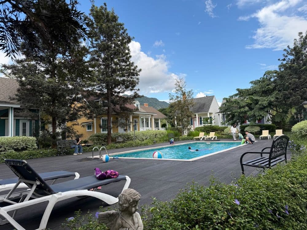 🌿 ซิลเวอร์โอ๊ค ไม้เศรษฐกิจโตเร็ว ใบสวย ทรงดี ที่นักจัดสวนห้ามพลาด!