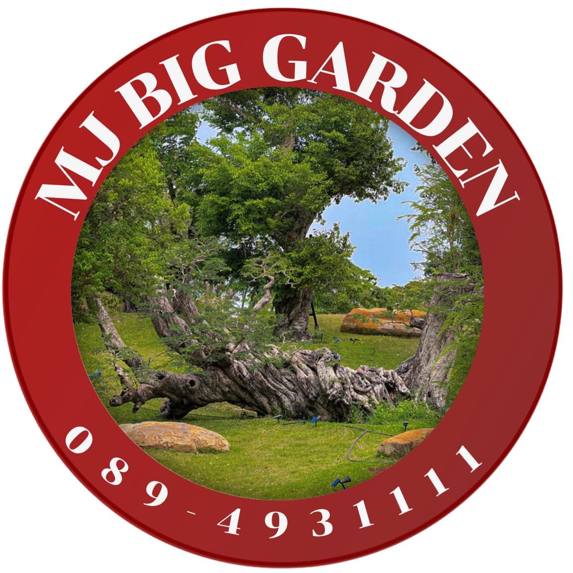 MJ Big Garden