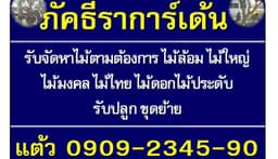 ร้านไม้ภัคธีราการ์เด้นท์ 