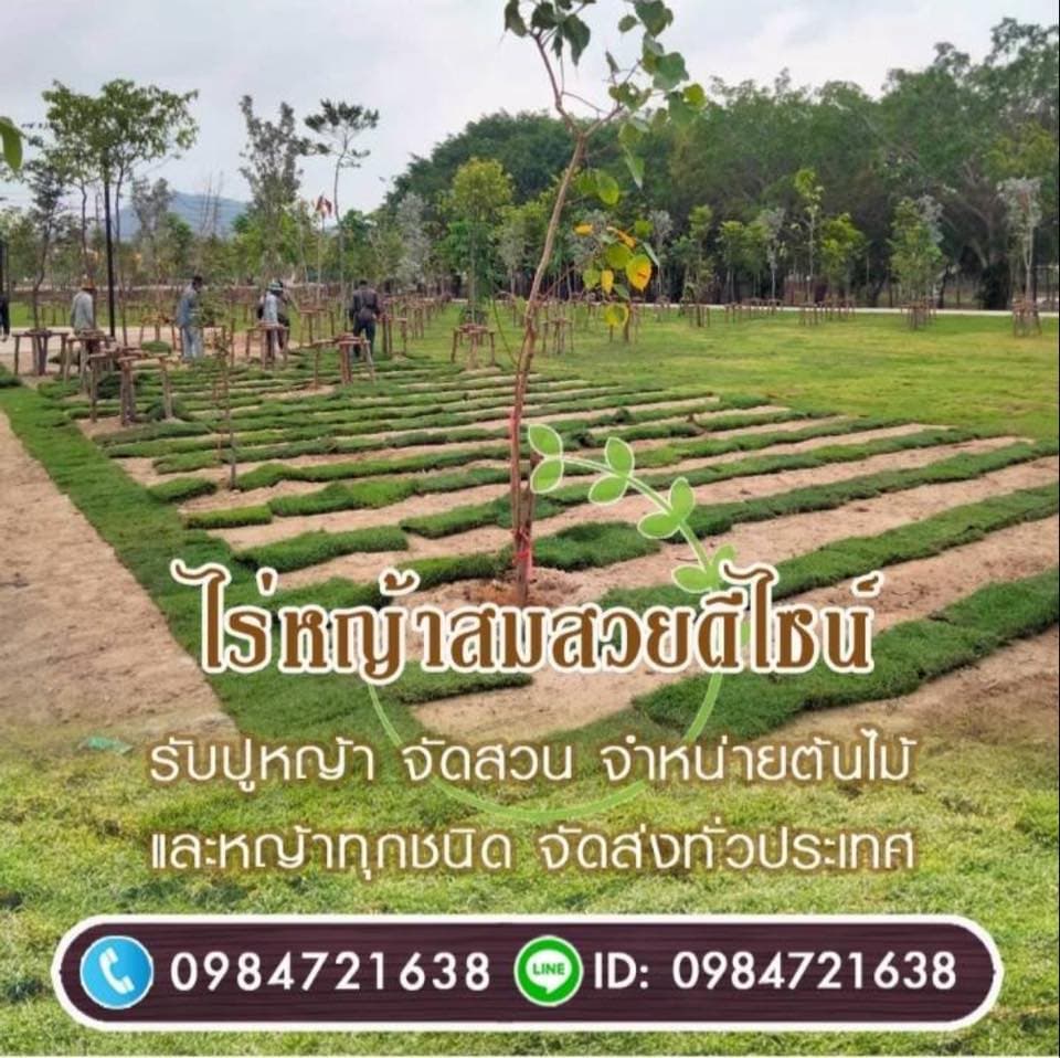 ไร่หญ้าสมสวยดีไซน์