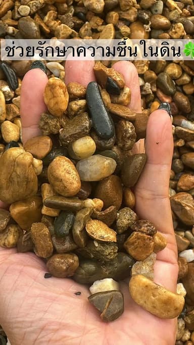 หินกรวดธรรมชาติสำหรับตกแต่งสวน