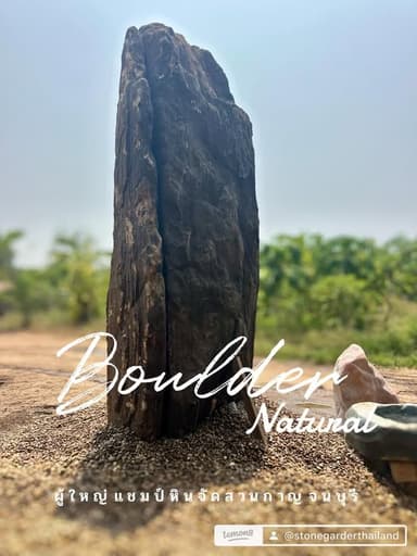 หินป่าธรรมชาติสำหรับแต่งสวน