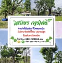 สวนเสถียร พันธุ์ไม้ จำหน่ายไม้ขุดล้อมทุกชนิด  logo