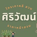 ไทรเกาหลี สวนศิริวัฒน์ logo