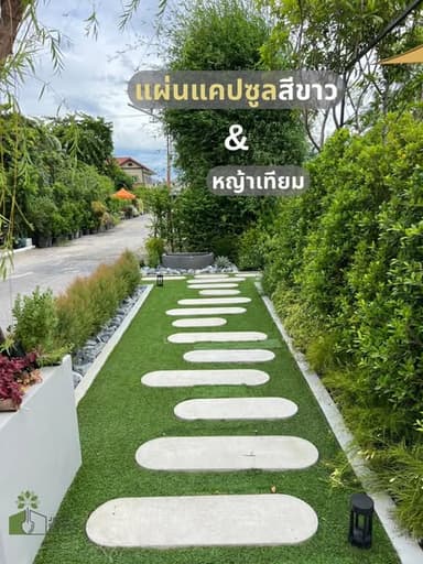 แผ่นแคปซูลปูนสีขาว