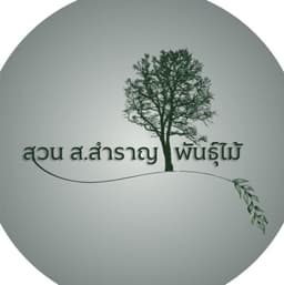 ส.สำราญ พันธุ์ไม้ logo
