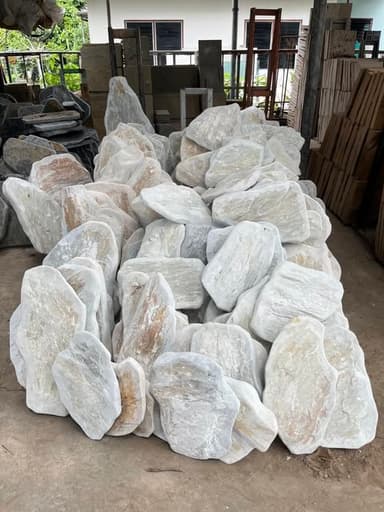 กาบป่าขาวชมพู