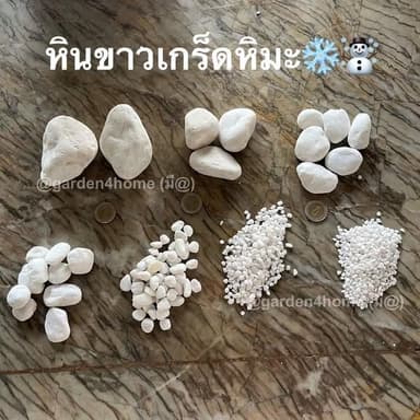 หินเกร็ดหิมะ