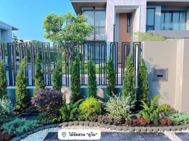 บริการรับจัดสวนครบวงจร By ไม้จัดสวน ดูใบ