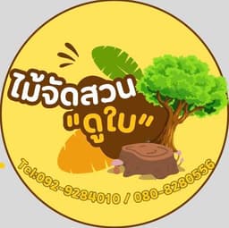 ไม้จัดสวน ดูใบ
