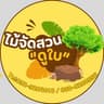 ไม้จัดสวน ดูใบ