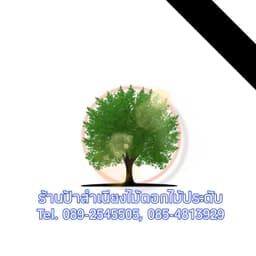 ป้าสำเนียงไม้ดอกไม้ประดับ 