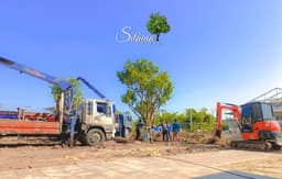 สวน เสถียร พันธุ์ไม้ จำหน่ายไม้ขุดล้อมทุกชนิด