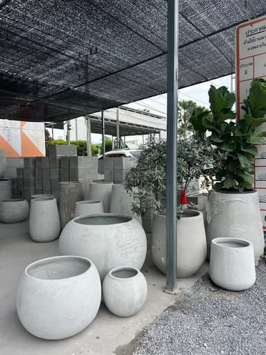 กระถางปูนเปลือย