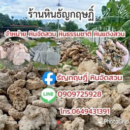 ร้านหิน ธัญกฤษฏิ์