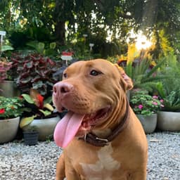 สวนอักษร พันธุ์ไม้ จันทบุรี  logo