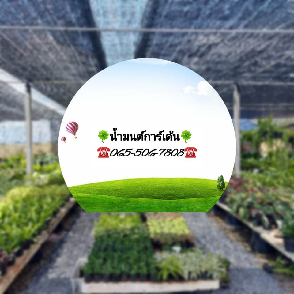 ร้านน้ำมนต์ การ์เด้น