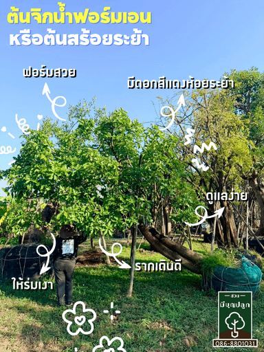 จิกน้ำฟอร์มเอน