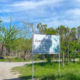 มีบุญปลูกพันธุ์ไม้ 