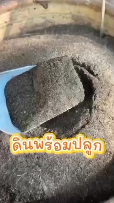 ดินพร้อมปลูกคุณภาพ