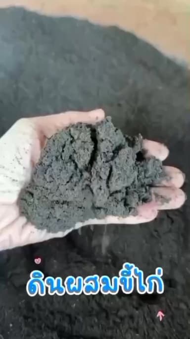 ดินผสมขี้ไก่