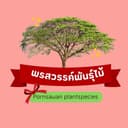 สวนพรสวรรค์พันธุ์ไม้ logo