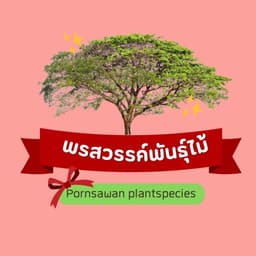 สวนพรสวรรค์พันธุ์ไม้