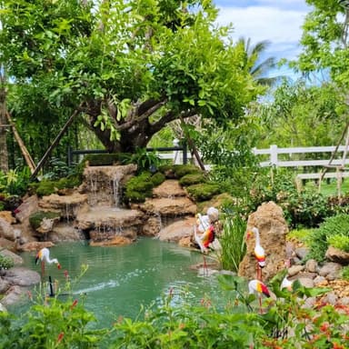 เนรมิตสวนสวยในฝันกับ ป.พรรณไม้งาม อู่ทอง สุพรรณบุรี