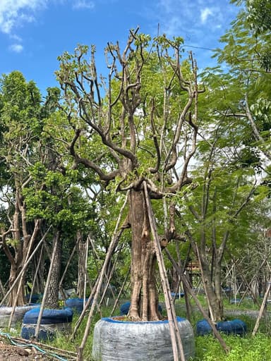 พูนทรัพย์