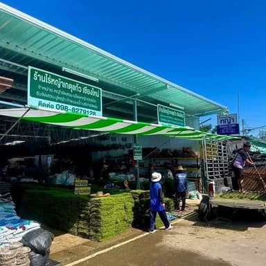 ต้นไม้ฟิโลเดนดรอน (Philodendron)