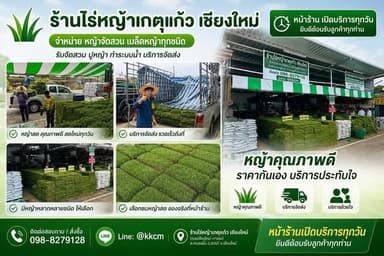 หญ้านวลน้อย ปูสวนเชียงใหม่