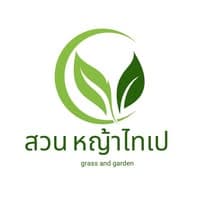 สวนหญ้าไทเป เชียงใหม่ 