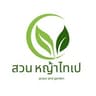 สวนหญ้าไทเป เชียงใหม่ 