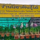 นิชาพันธุ์ไม้ logo