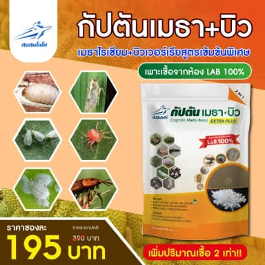  จุลินทรีย์กำจัดหนอน เพลี้ย และแมลงศัตรูพืชหลากชนิด