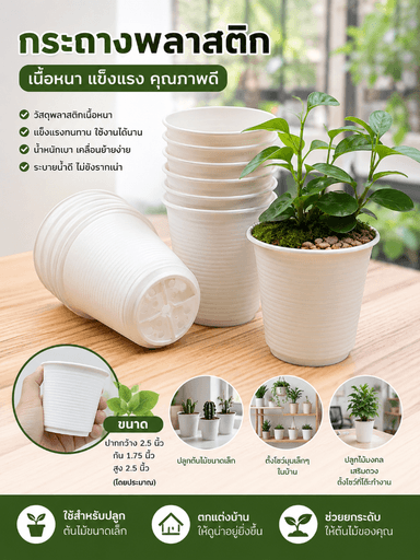 กระถางทรงจีน 2.5 นิ้ว (ชุด 50/100 ใบ) สำหรับแคคตัสต้นไม้เล็ก