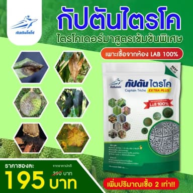 ไตรโคเดอร์มา สูตรเข้มข้น กัปตันไตรโค