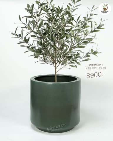 กระถางเซรามิคโมเดิร์น สี Moss Green