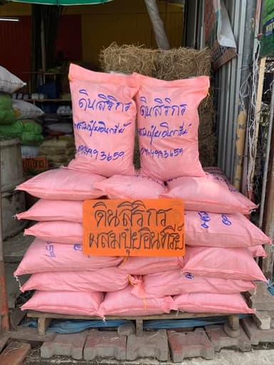 ดินสิริกร & หญ้าไทเป