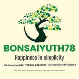 Bonsaipop78