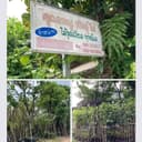 สวนเรณู พันธุ์ไม้  logo