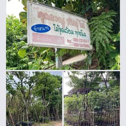 สวนเรณู พันธุ์ไม้ 