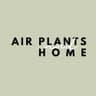air plants and home