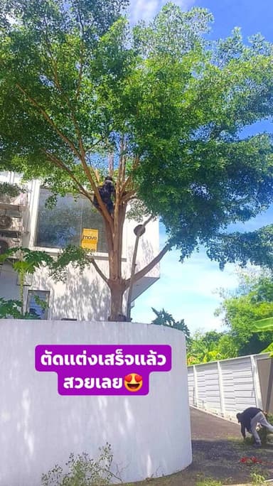 บริการตัดแต่งต้นไม้และดูแลสวน