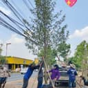 ร้าน ติ๊ก พรรณไม้ logo
