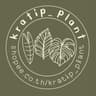 Kratip plant