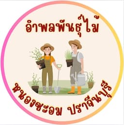 อำพลพันธุ์ไม้
