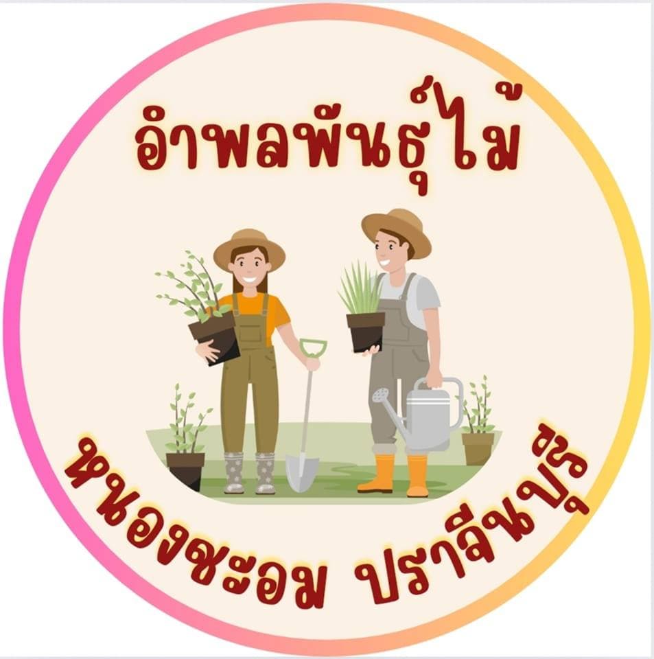 อำพลพันธุ์ไม้