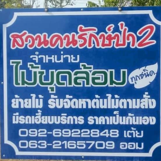 ขายต้นไม้ขุดล้อมสวนคนรักษ์ป่าสระบุรี 