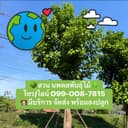  สวนนพดลพันธุ์ไม้ logo